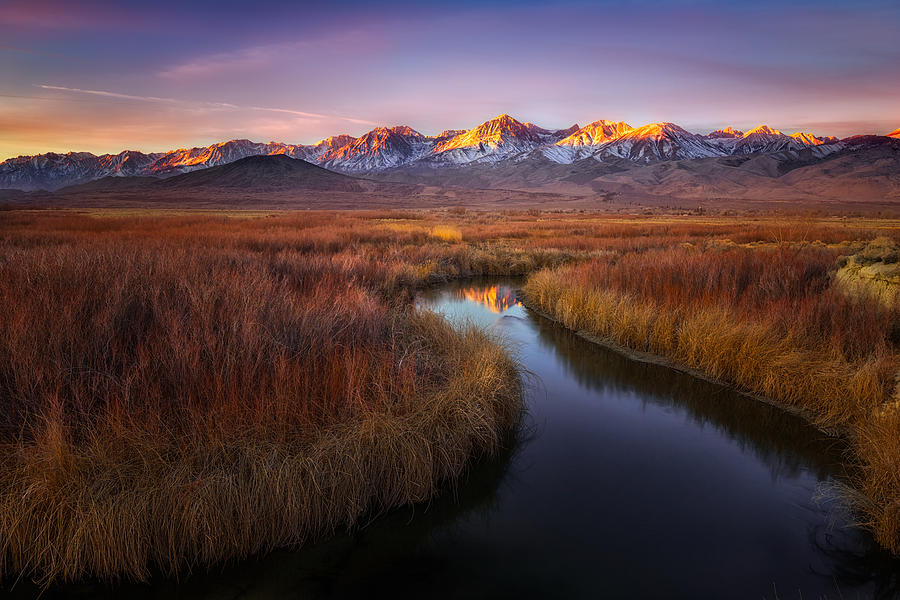 Sunrise at Owens River Photograph by Frank Delargy