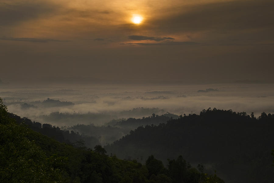 Sunrise at Panorama Hill Photograph by Ng Hock How