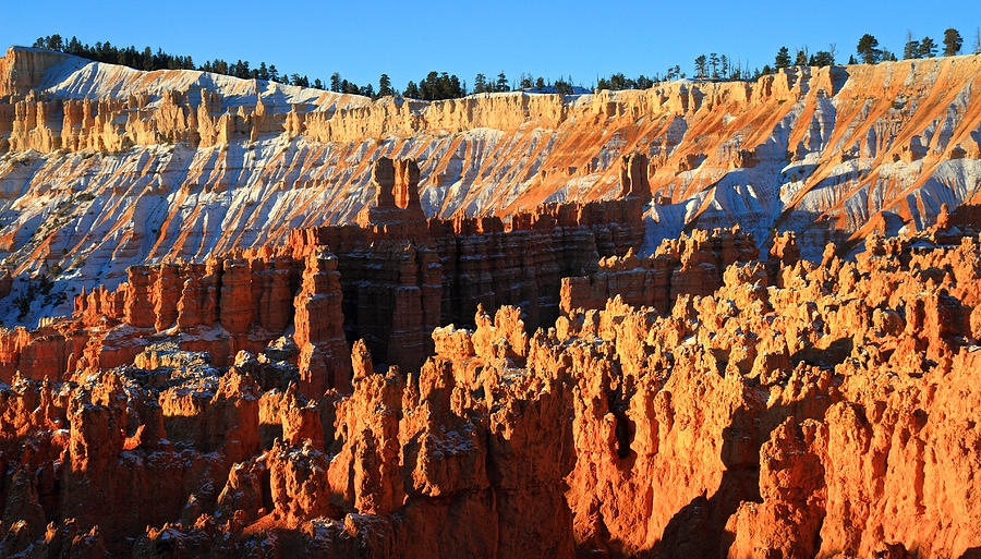 Bryce Photograph - Sunrise at Sunset point in Bryce Canyon National Park by Pierre Leclerc Photography Bryce Photograph - Sunrise at Sunset point in Bryce Canyon National Park by Pierre Leclerc Photography