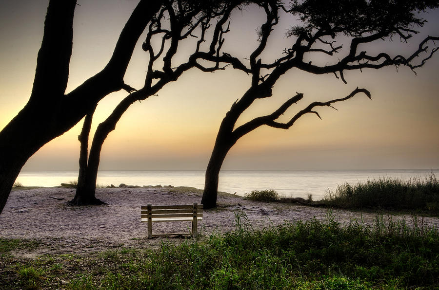 Tree Photograph - Sunrise At The Bench by Greg and Chrystal Mimbs