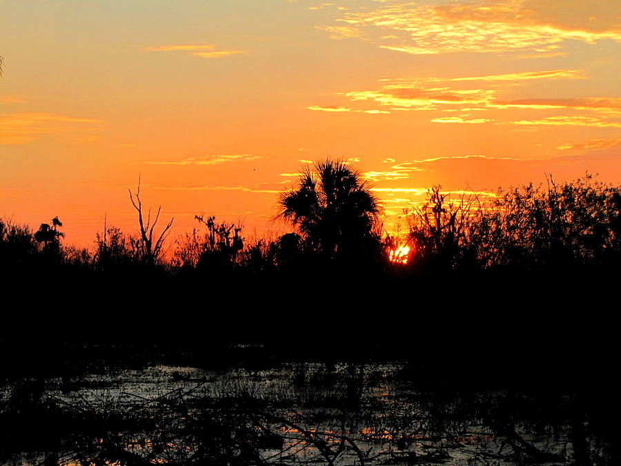 Sunrise at the Circle B Bar Reserve  Photograph by Christopher Mercer
