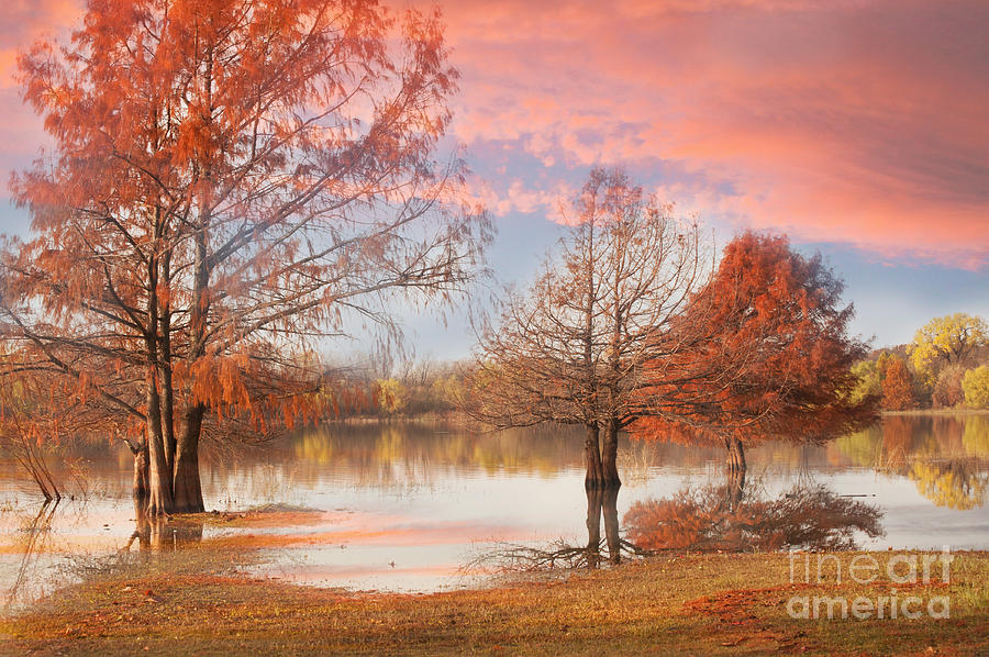 Sunrise at the Lake Worth Photograph by Iris Greenwell