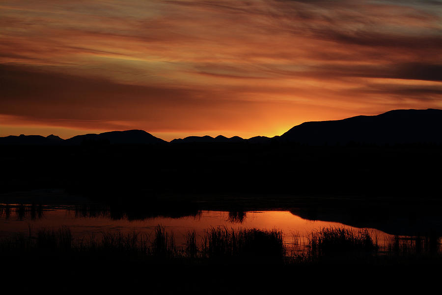 Sunrise at the Marsh Photograph by Whispering Peaks Photography