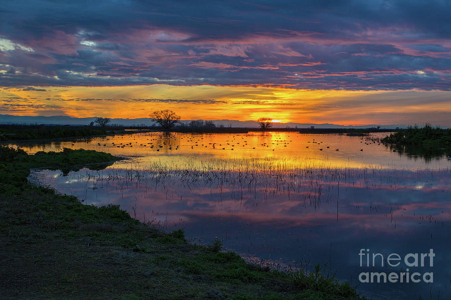 Sunrise at the Merced National Wildlife Refuge Photograph by Mimi Ditchie