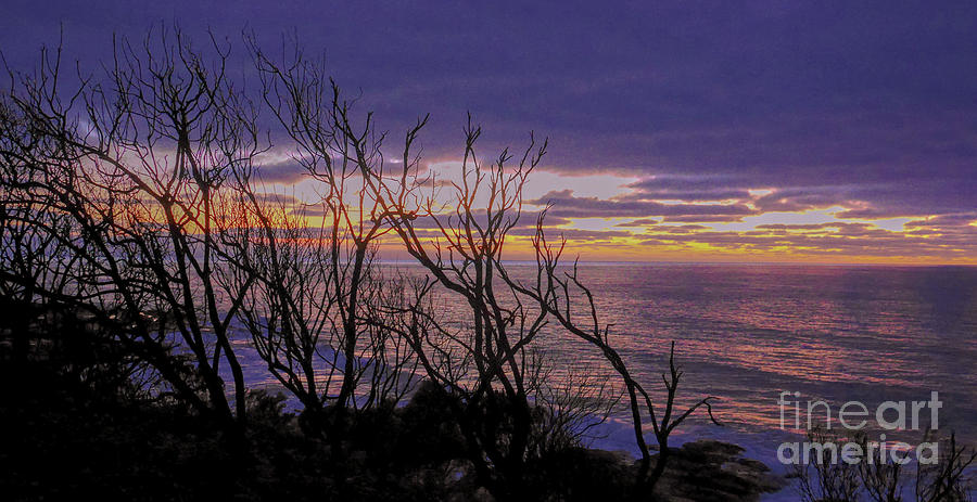Sunrise at Wye River 2 Photograph by Lexa Harpell