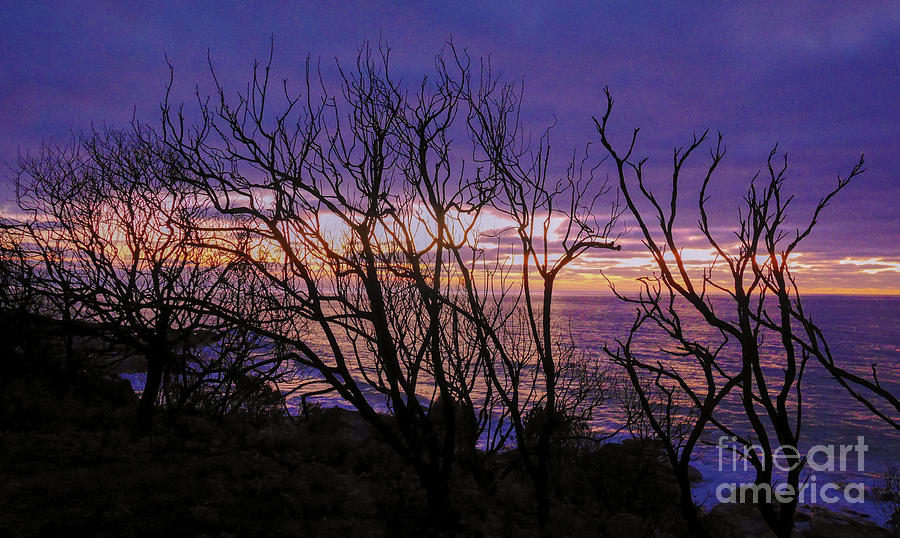 Sunrise at Wye River 3 Photograph by Lexa Harpell