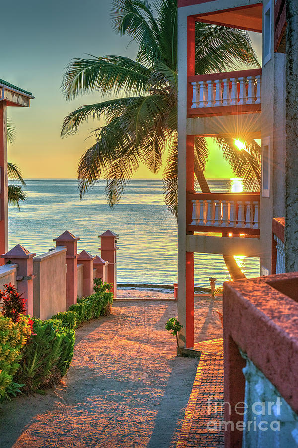 Sunrise Balcony Photograph by David Zanzinger