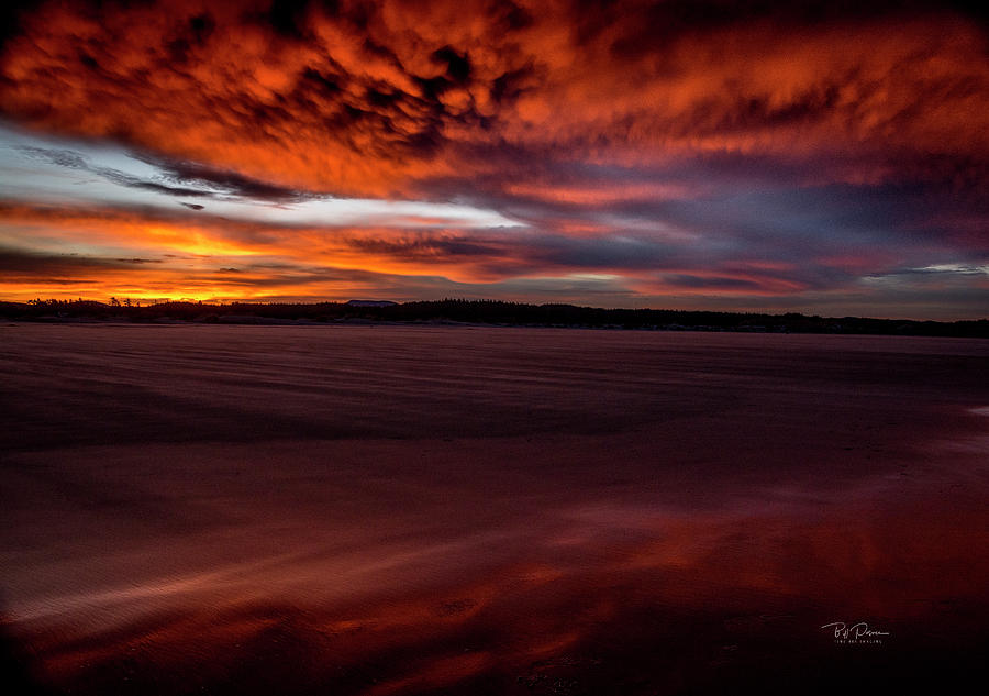 Sunrise Beach 4 Photograph by Bill Posner