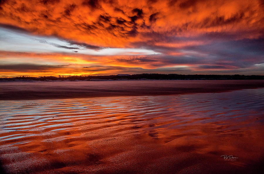 Sunrise Beach 6 Photograph by Bill Posner