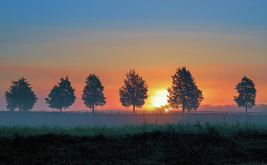 Sunrise Behind The Cedars Photograph