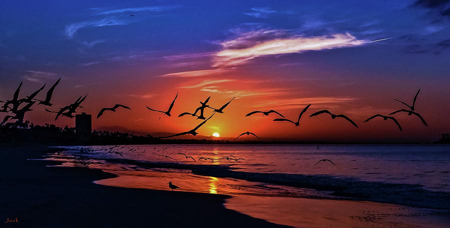 Sunrise Between the Birds Photograph by John R Williams - Fine Art America