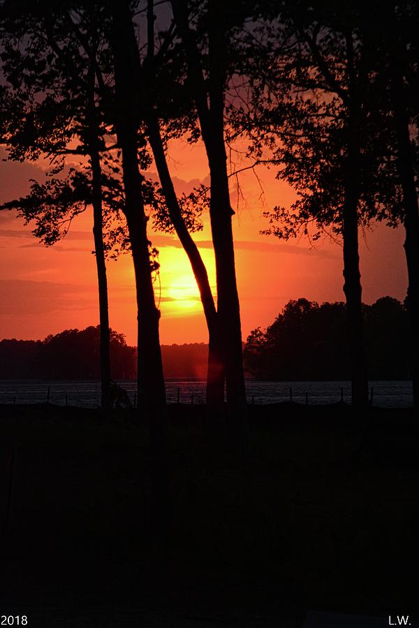 Sunrise Beyond The Trees Photograph by Lisa Wooten