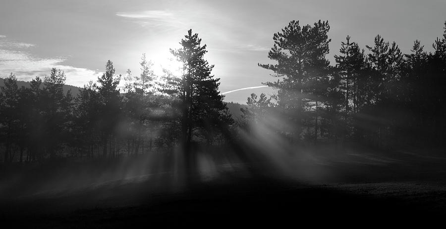 Sunrise bursting through trees and mist at Palsko Lake Photograph by Ian Middleton