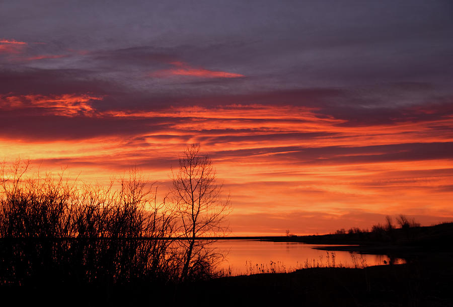 Nature Photograph - Sunrise by the Lake by Kristin Davidson