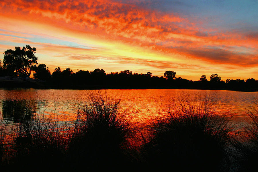 Sunrise Canning River Photograph by Tony Brown