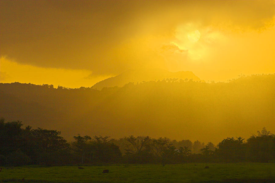 Sunrise- Cul-de-sac Valley-St Lucia Photograph by Chester Williams