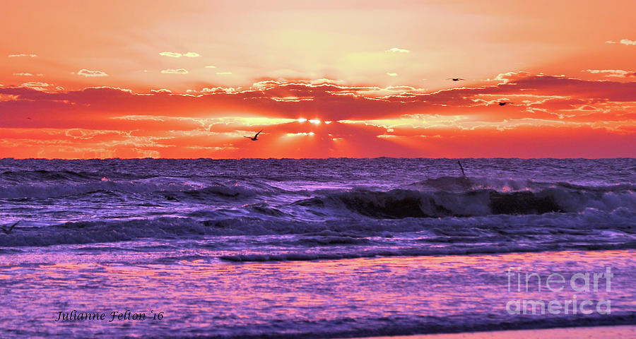 Sunrise DBShores,FL 10-23-16 Photograph by Julianne Felton