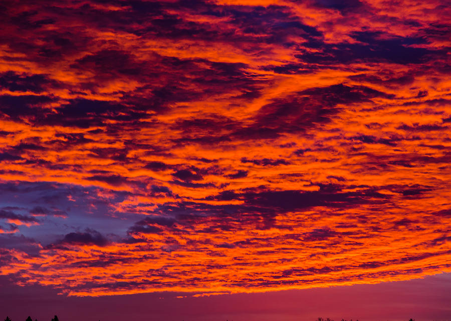 Sunrise Detail Photograph by Tim Kirchoff