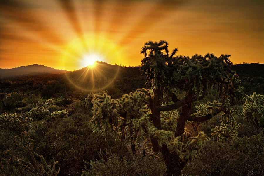 Sunrise Done With An Arizona Flare Photograph by Saija Lehtonen