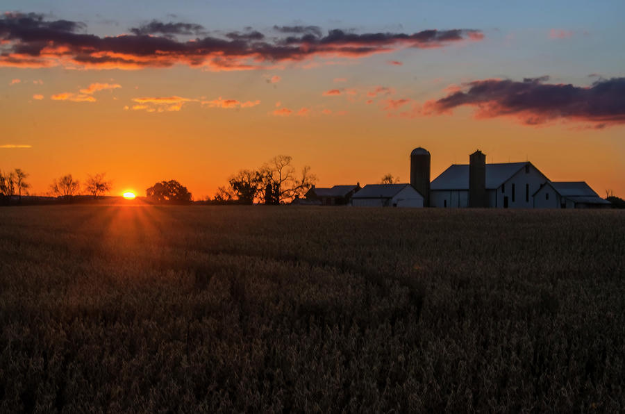 Sunrise Down on the Farm - Carlisle Pa Photograph by Bill Cannon