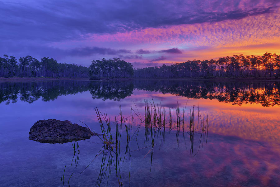 Everglades National Park Photograph - Sunrise Dream by Claudia Domenig