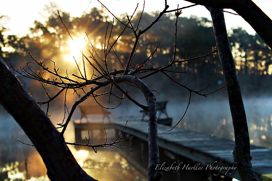 Sunrise Photograph by Elizabeth Harllee