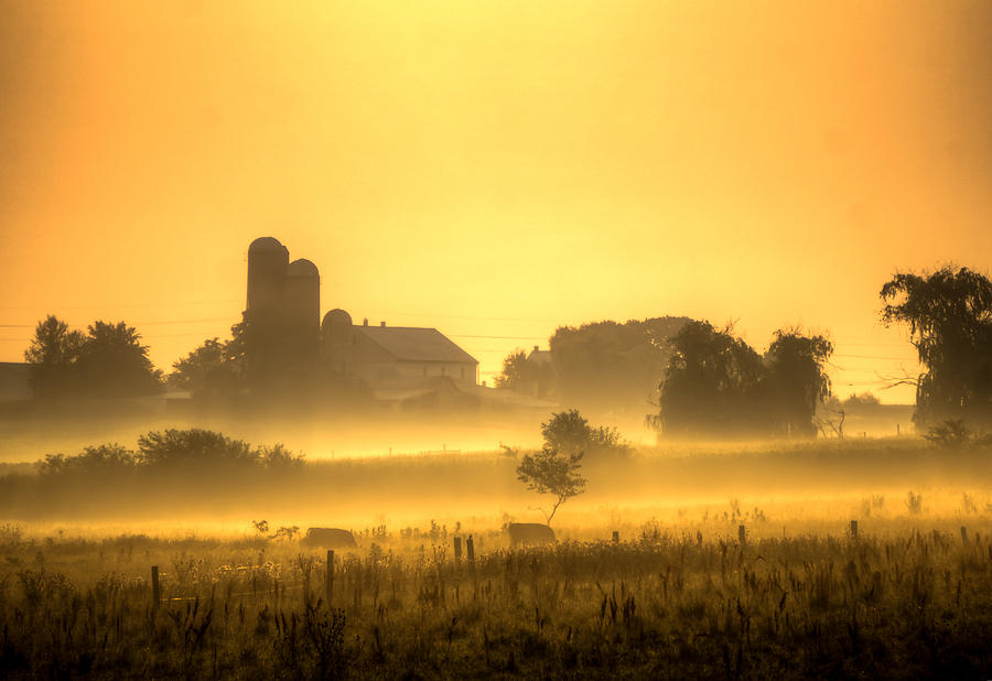 Farm Photograph - Sunrise farm in the fog by Seth Dochter