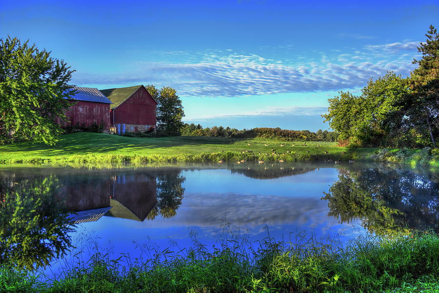 Sunrise Farm Pond Reflection Photograph by Dale Kauzlaric