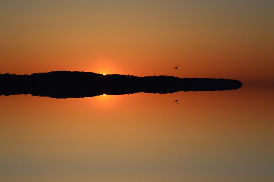 Sunrise Flight  Photograph by Lyle Crump