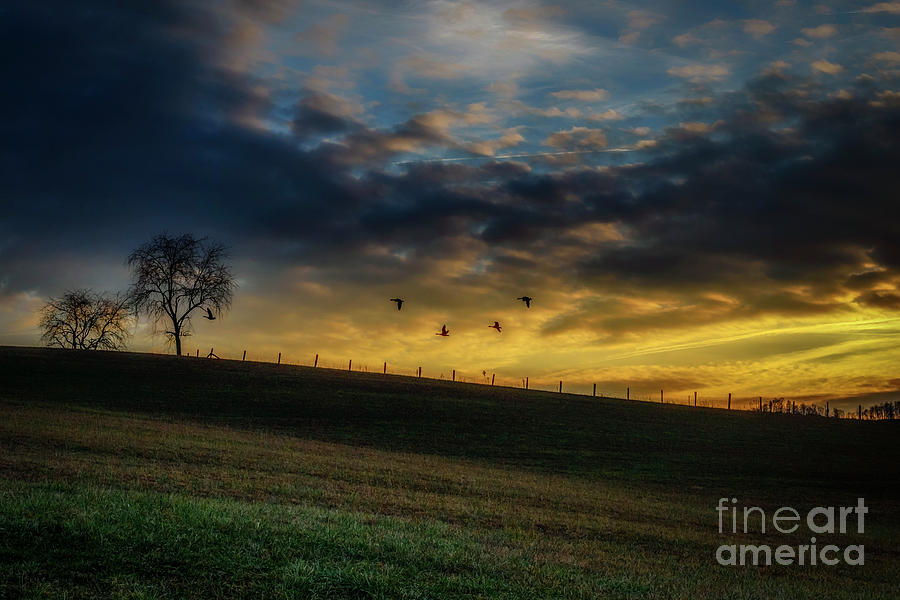 Sunrise Flight Photograph by Thomas R Fletcher