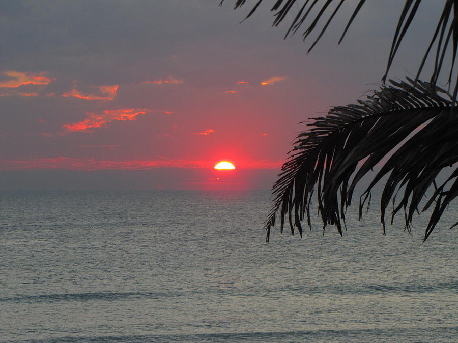 Nature Photograph - Sunrise Florida by Don Howard