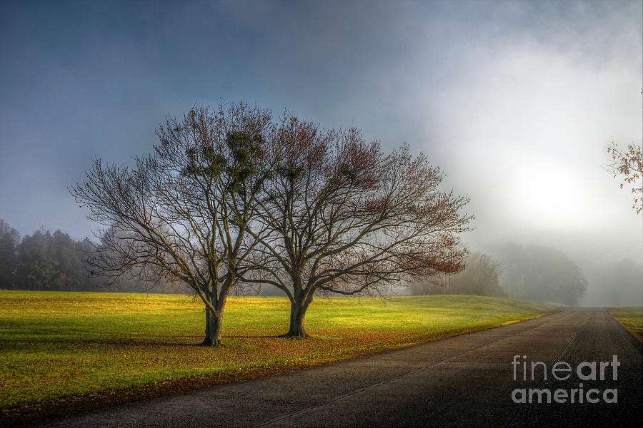 Sunrise Fog Colonial Parkway Williamsburg Virginia Photograph by Karen Jorstad