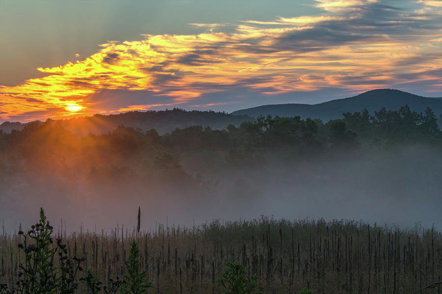 Sunrise Fog Over The Foothills Of Blooming Grove 2 Photograph by Angelo Marcialis