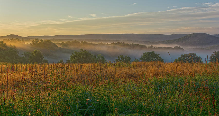 Sunrise Fog Over The Foothills Of Blooming Grove  Photograph by Angelo Marcialis
