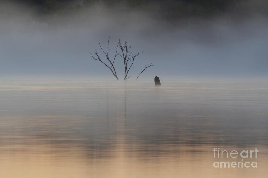 Sunrise Fog Over Water by John Franke