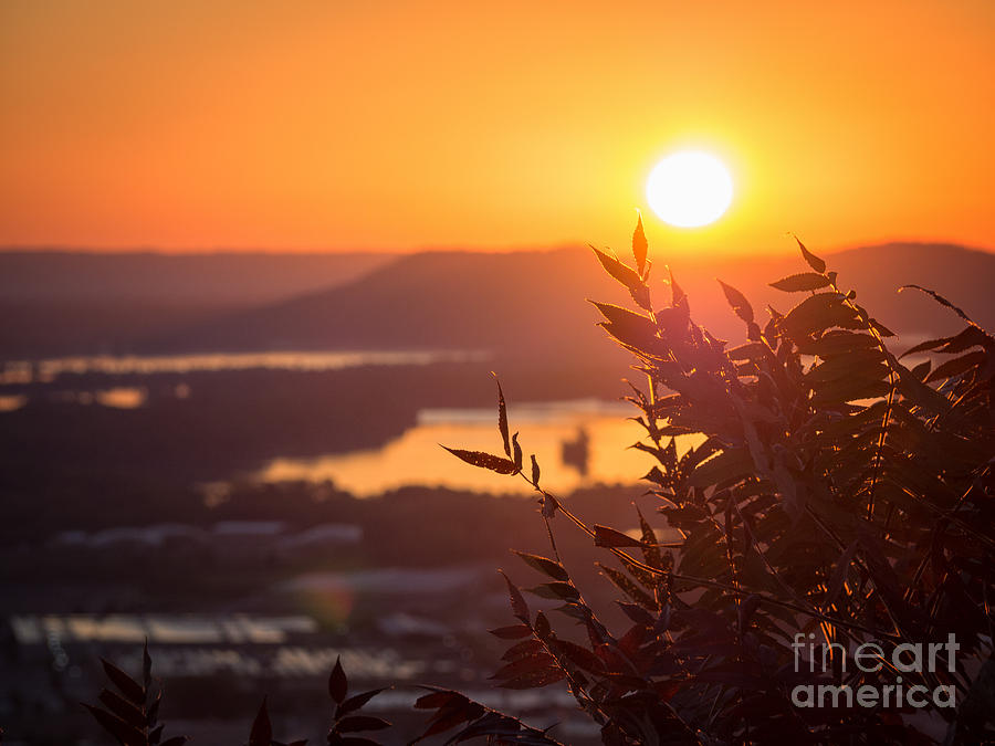 Sunrise Garvin Heights with Sumac Photograph by Kari Yearous