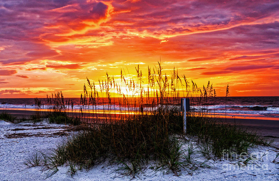 Beach Photograph - Sunrise Hilton Head Beach by Paul Mashburn