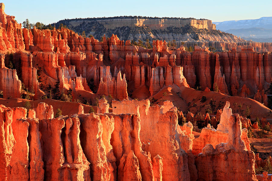 Bryce Photograph - Sunrise Hoodoos In Bryce Canyon by Pierre Leclerc Photography Bryce Photograph - Sunrise Hoodoos In Bryce Canyon by Pierre Leclerc Photography