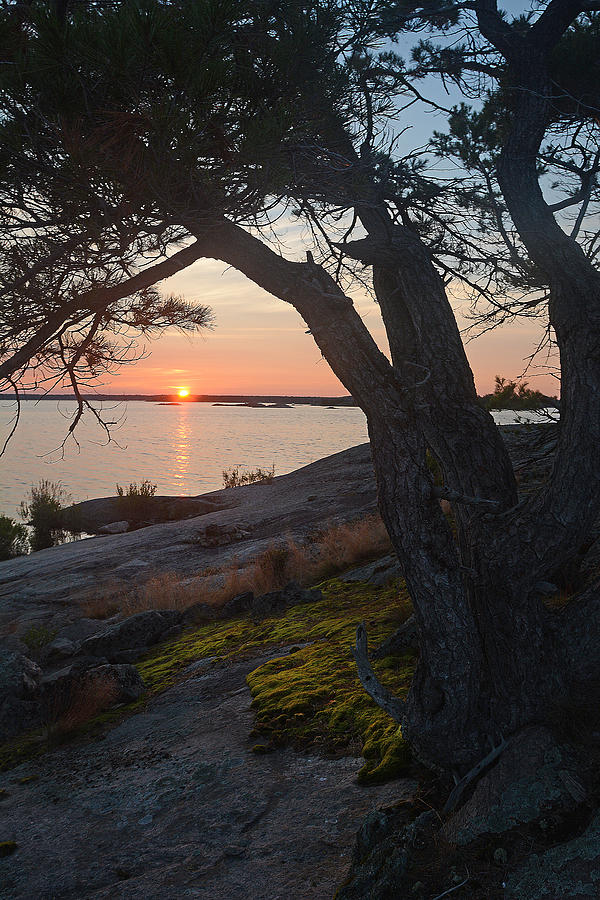 Sunrise Hopewell Island Photograph by Steve Somerville
