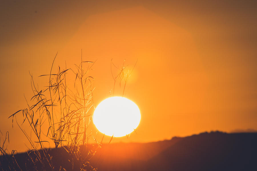 Sunrise Photograph by Hyuntae Kim