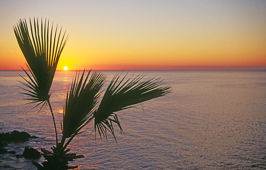 Sunrise in Baja, Mexico Photograph by Buddy Mays