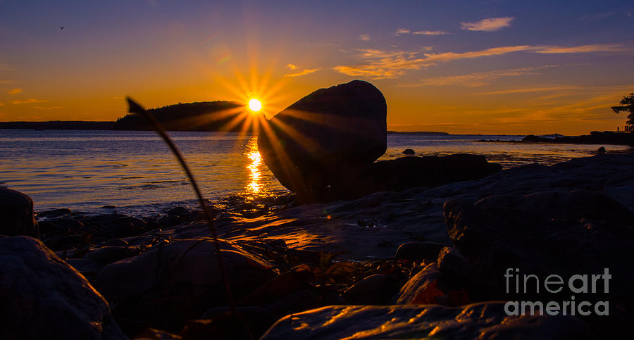 Sunrise in Bar Harbor Maine Photograph by New England Photography