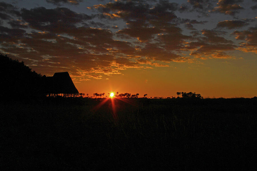 Sunrise in Botswana Photograph by Richard Krebs