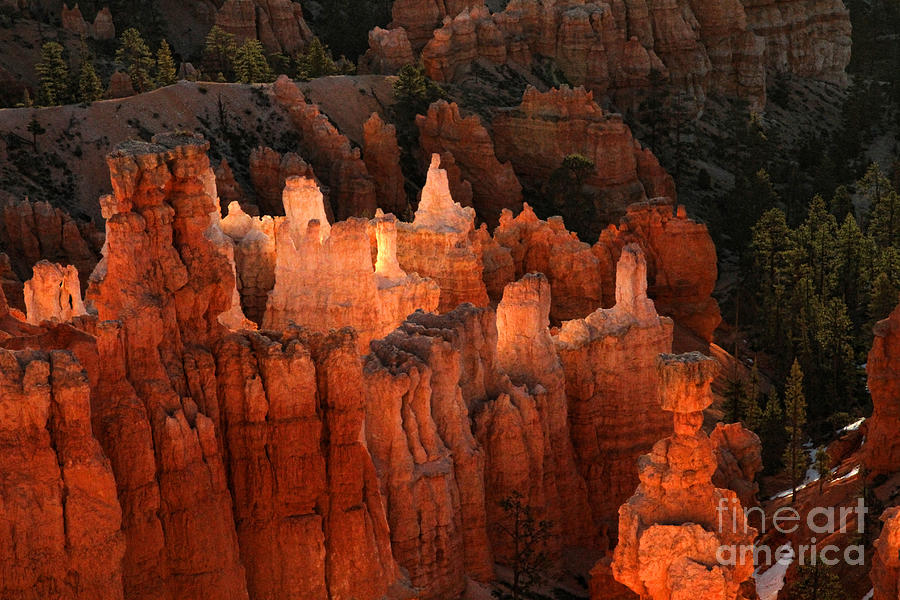 Sunrise in Bryce 6 Photograph by Edward R Wisell