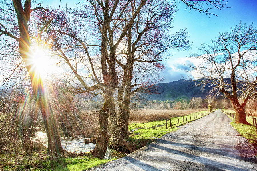 Sunrise in Cades Cove On Sparks Lane Photograph by Carol Mellema Fine