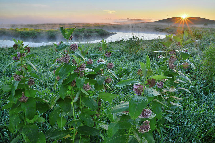 Sunrise in Glacial Park over Nippersink Creek Photograph by Ray Mathis