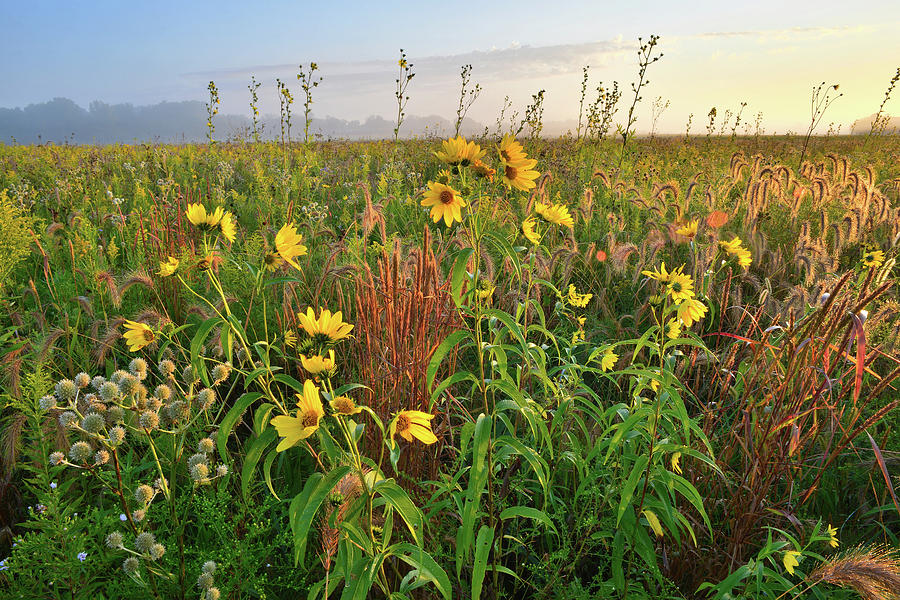 Sunrise in Glacial Park Prairie Photograph by Ray Mathis