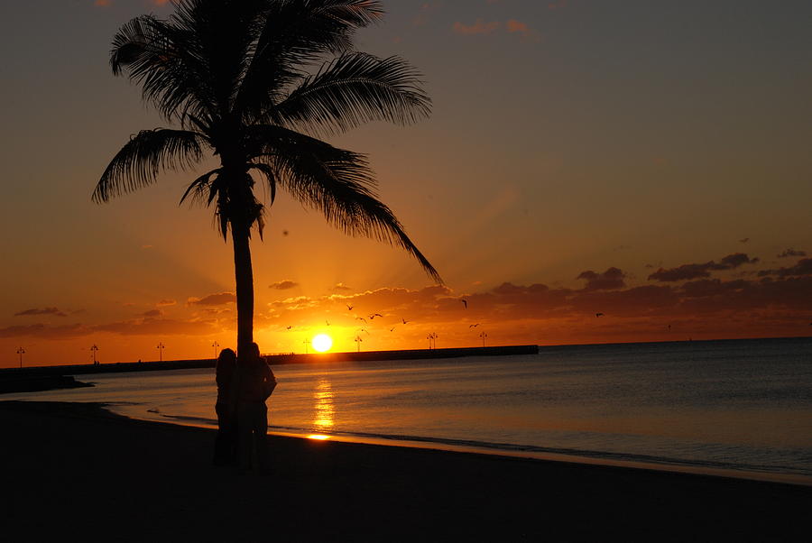 Sunrise in Key West FL Photograph by Susanne Van Hulst