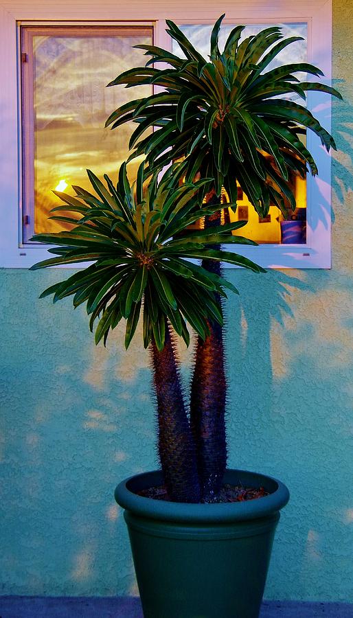 Sunrise In Kitchen Window 1 Photograph by Phyllis Spoor