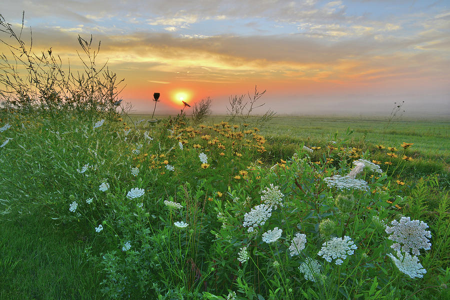 Sunrise in McHenry County Photograph by Ray Mathis